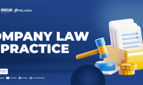 11. PRTVRS - Company Law in Practice