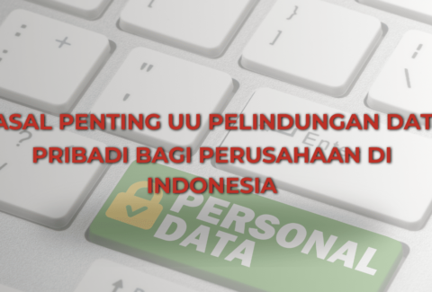 uu pelindungan data pribadi